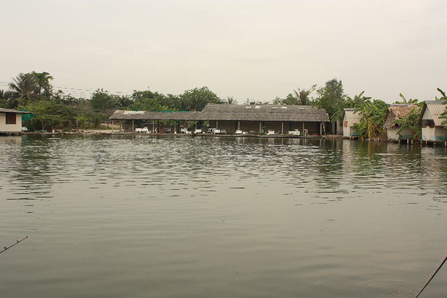 ถามเรื่อง บ่อนิวหนองบัว