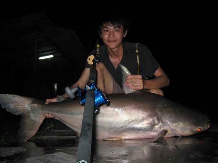 เมื่อคืนที่บ่อ เงาน้ำ
