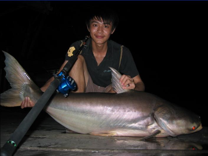 เมื่อคืนที่บ่อ เงาน้ำ