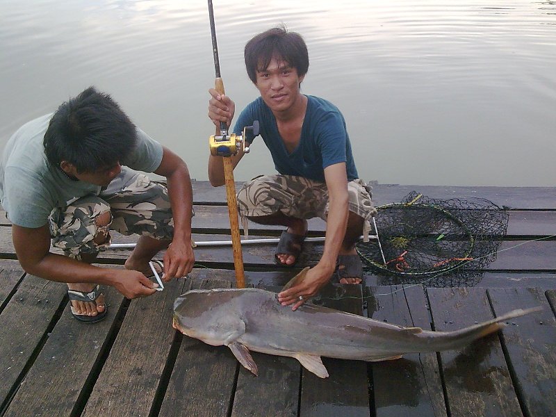 ไปเสนา มาอะครับ