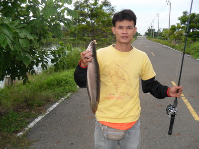 ปลาช่อน กระพง ลุงมานะ