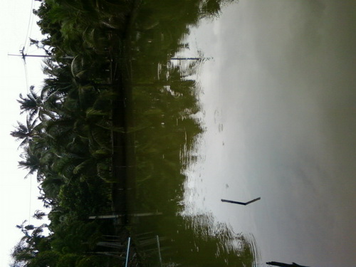 วันนี้ปบาช่อน จุกกะเณอ