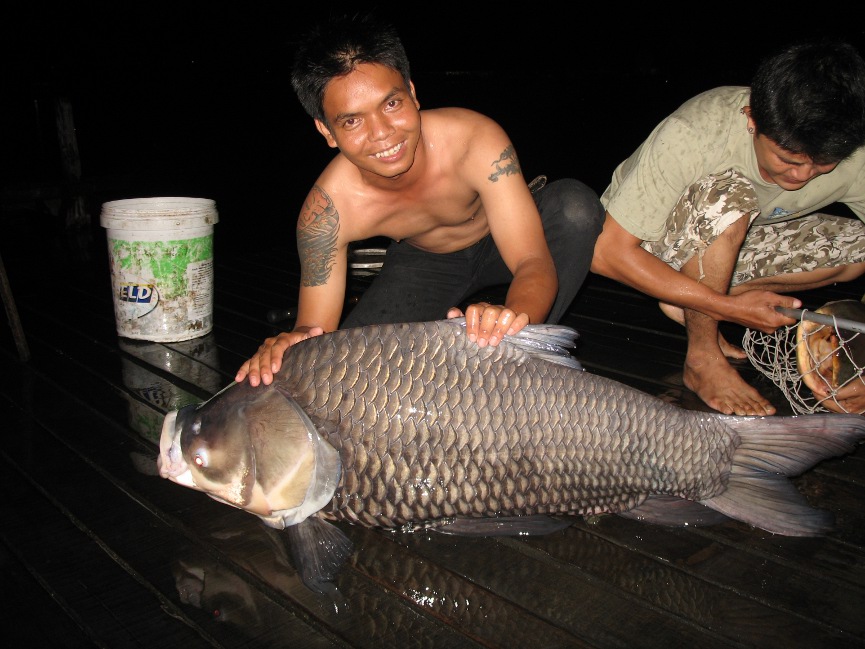 เฝ้าวิลลี่ทั้งคืนแต่ได้......