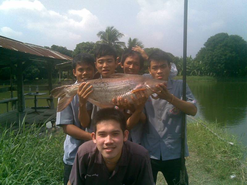 ขออณุญาติ ส่งภาพผลงานเก่าๆ ให้ทุกท่านรับชมครับ