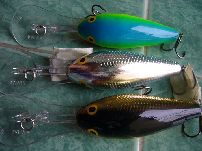 ขอ rapala อีกสักที คราวนี้มาเป็นฝูง