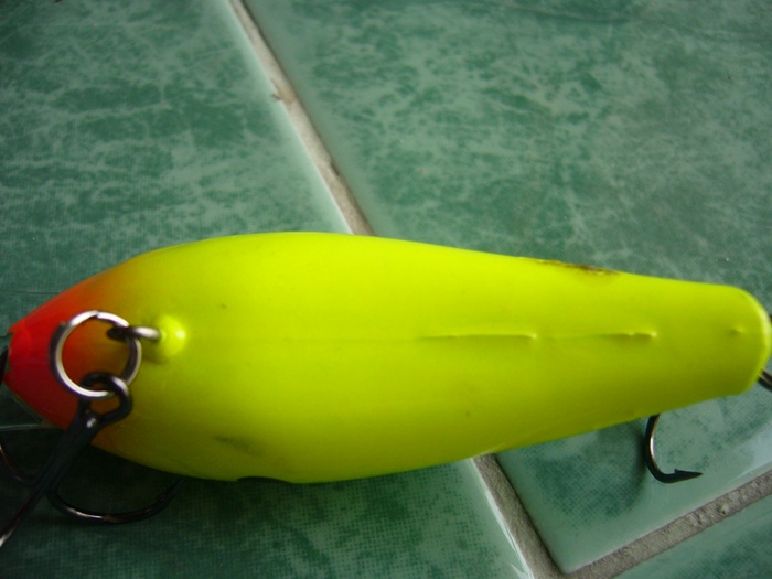ขอ rapala อีกสักที คราวนี้มาเป็นฝูง