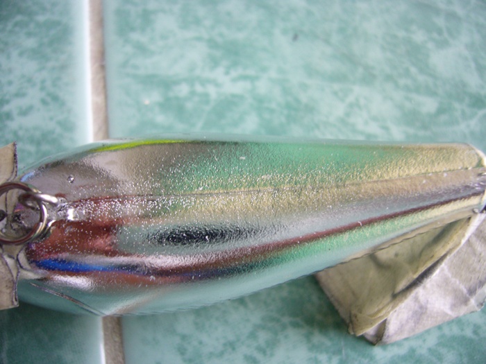 ขอ rapala อีกสักที คราวนี้มาเป็นฝูง