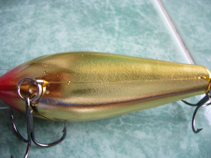 ขอ rapala อีกสักที คราวนี้มาเป็นฝูง