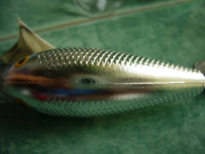 ขอ rapala อีกสักที คราวนี้มาเป็นฝูง