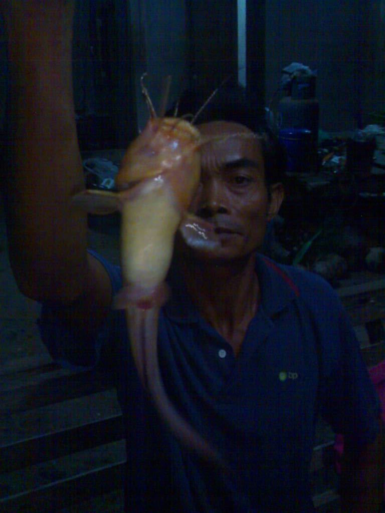 ปลาทะเล