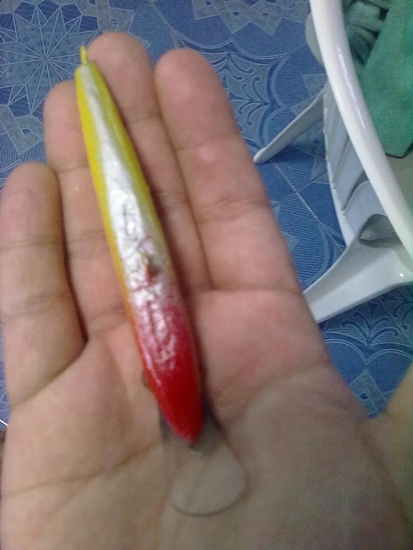ช่วยแนะนำทีครับ มือใหม่หัดทำครับผม