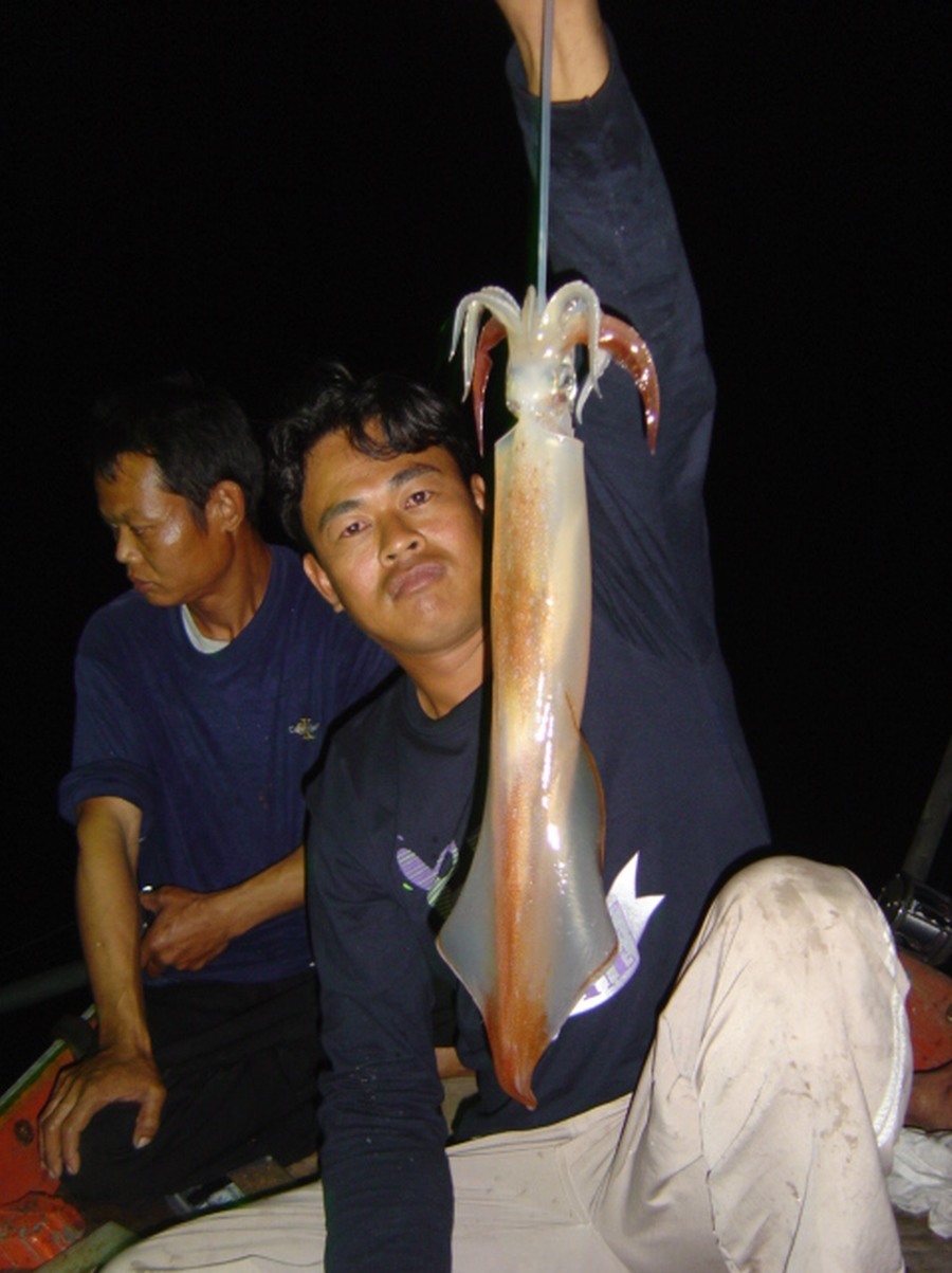 น้องใหม่เอาภาพมาฝากคับ