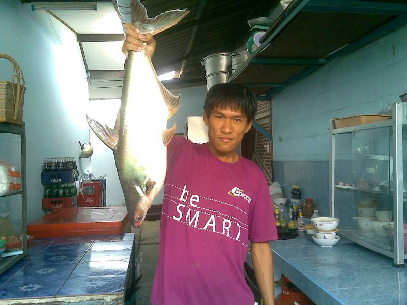 สุดๆกับภาพเก่า ผลงานเก่าๆ