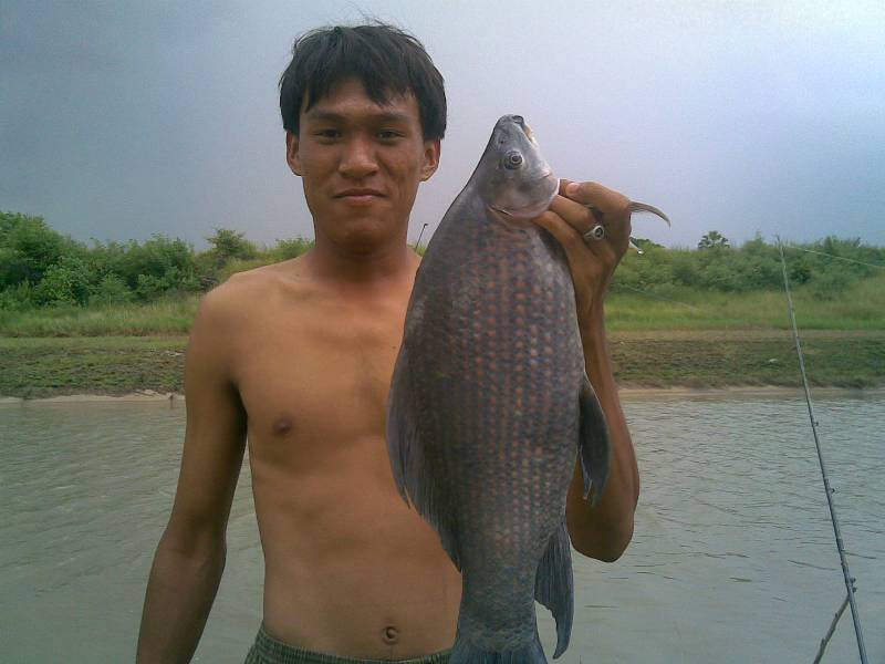 สุดๆกับภาพเก่า ผลงานเก่าๆ