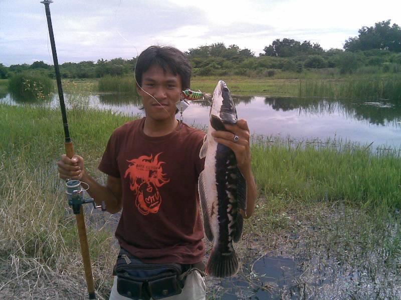 สุดๆกับภาพเก่า ผลงานเก่าๆ