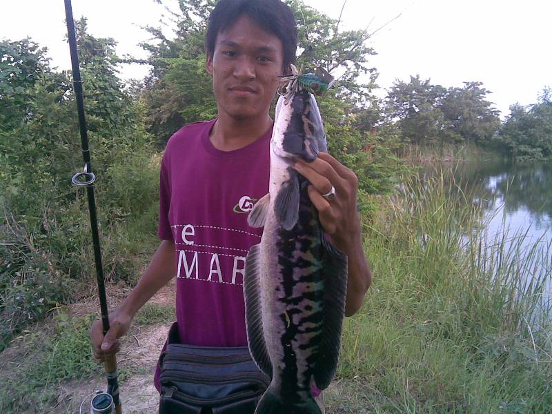 สุดๆกับภาพเก่า ผลงานเก่าๆ