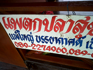 ภาพบรรยากาศออกรอบตกปลาที่บางไทรครับ