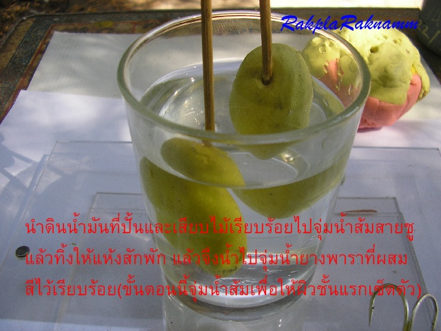 กบยางตามคำขอ(ตอน1)