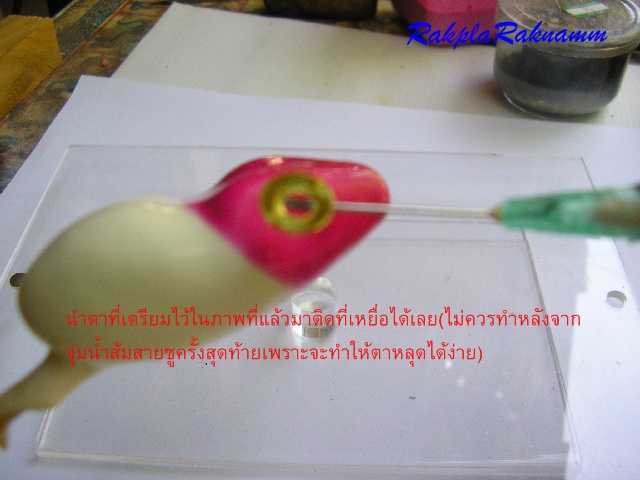 กบยางตามคำขอ(ตอน1)