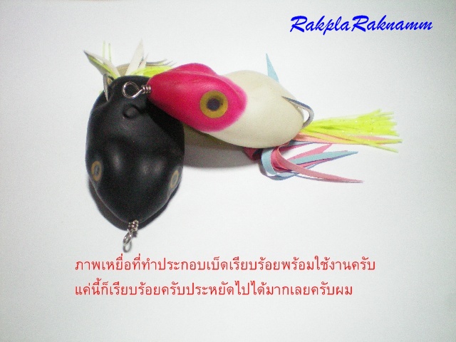 กบยางตามคำขอ(ตอน2)