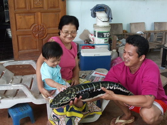 ลองส่งภาพ  ตกปลายามว่าง