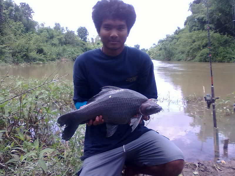 เมื่อน้ำหลากมันมาครั้งแรกในรอบปี
