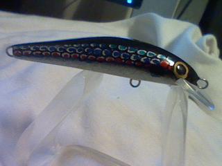minnow 6.5 cm.
