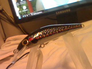 minnow 6.5 cm.