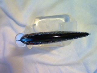 minnow 6.5 cm.