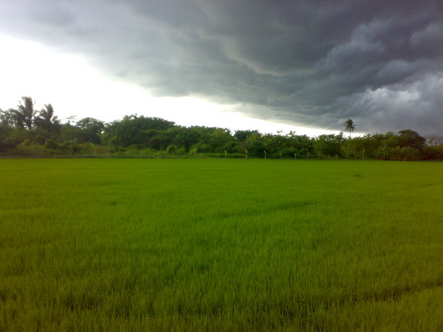 มากับ พายุ ชัด ชัด 