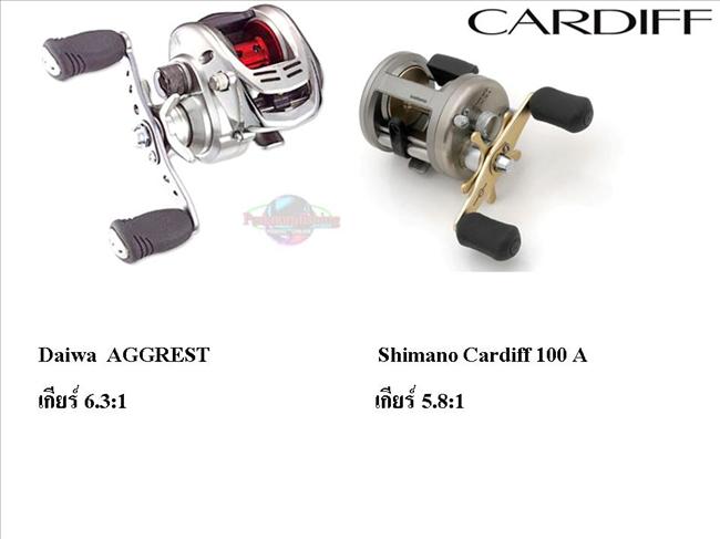 Daiwa Aggrest 100  VS  Shimano Cadiff 100 A