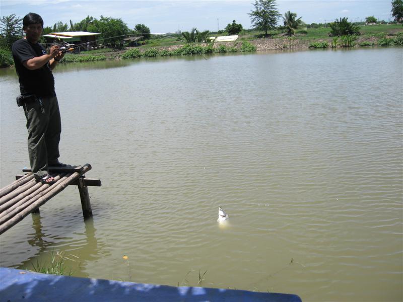 กระพงเวียนเทียน (เฉพาะปลายางทีมเท่านั้นครับ)