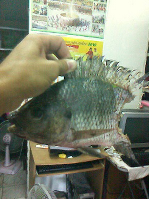 กัดกระจุย !!!