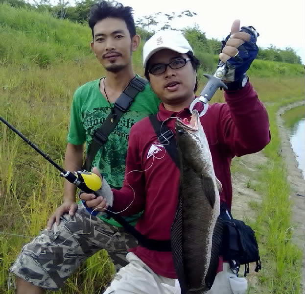 ช่อนเล็กกับสมาชิกใหม่
