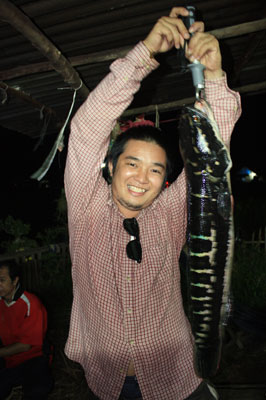 ชะโดขอนแก่นครับ