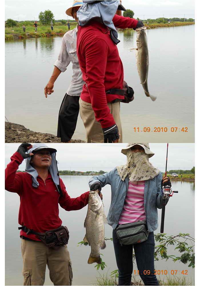 >>>>>>>ล่า"กะพงใหญ่"ลุงดำ<<<<<<<<<<