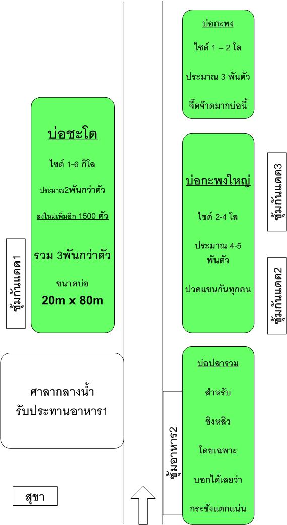 ข้อมูลเพิ่มเติม "รุ่งอรุณฟาร์ม"