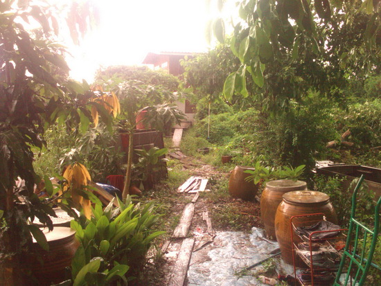 ฝนตกหนัก หากินใกล้ๆบ้าน กับวิถีชาวบ้าน