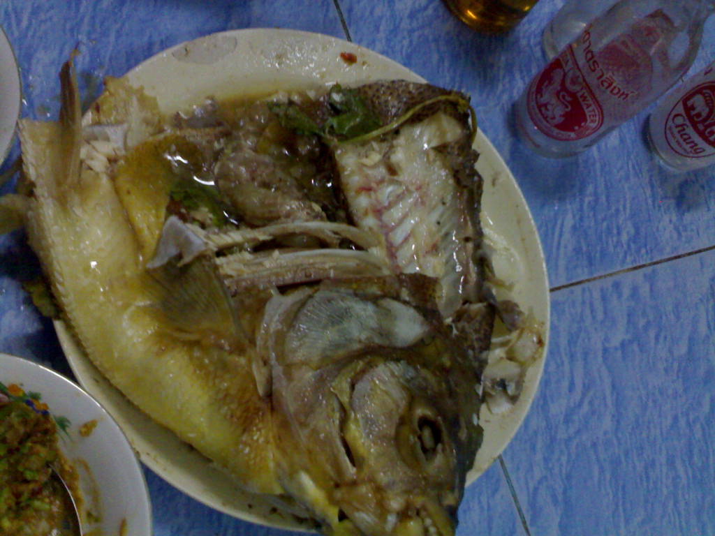 ปลาตัวเท่าเด็ก
