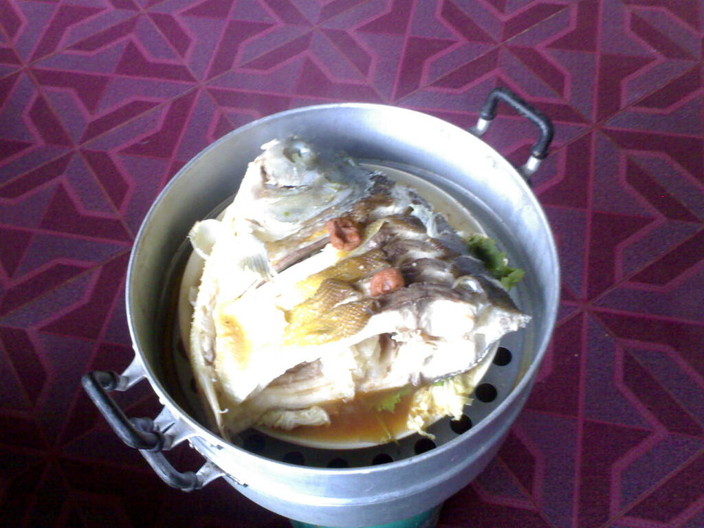 ปลาตัวเท่าเด็ก