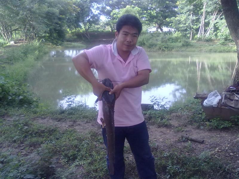 wid+cid+cham..แม่สอดบ่อฟาร์มไก่(หัวฝาย)