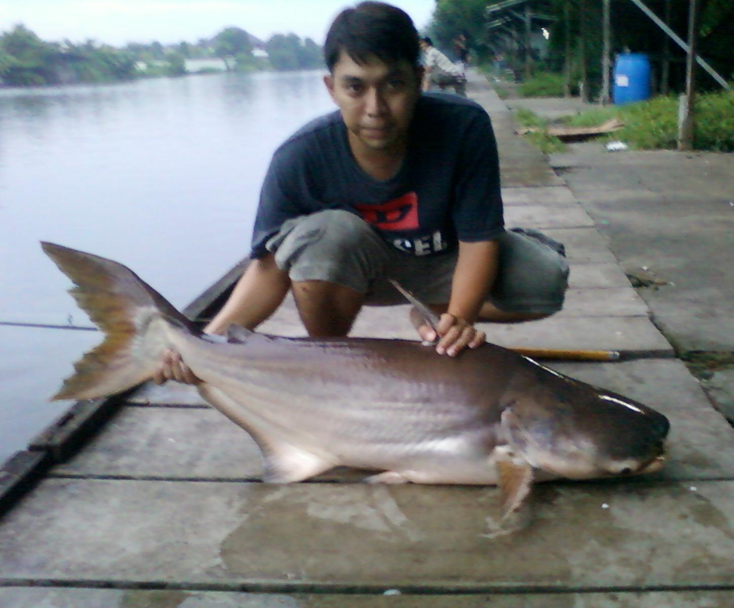 ลองของที่เงาน้ำ