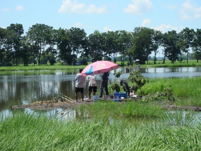 ทริพ เกาะกา ปลาเกล็ด ครับ