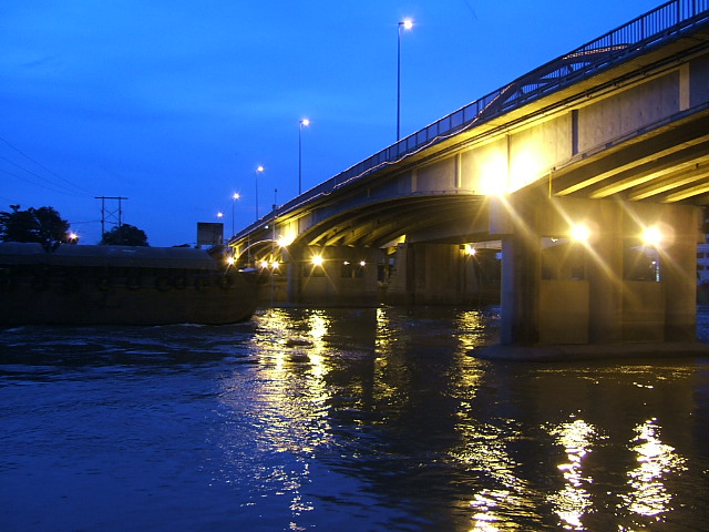 สพานปรีดีย์ อยุธยา ยังมีปลา 2