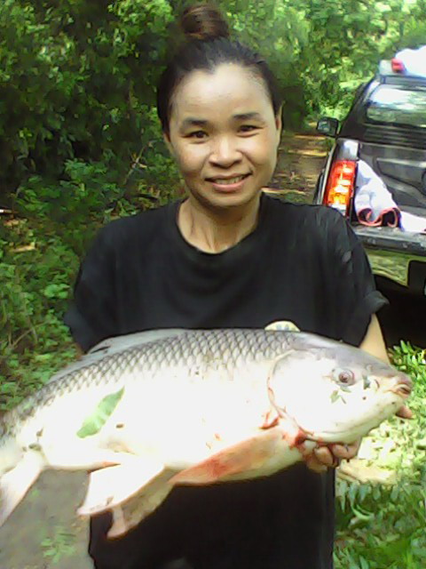  26/9/53 หมายลับ Update`คอมเฟิมพฤหัสนะคับ