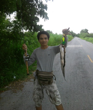 กระสง+ปลาช่อนริมทาง