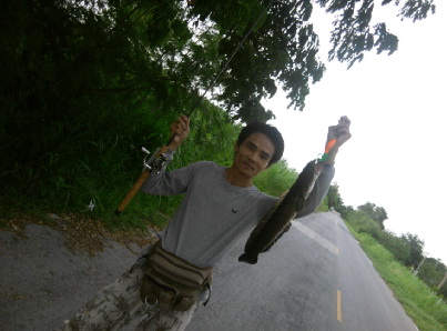 กระสง+ปลาช่อนริมทาง