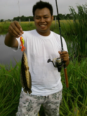 กระสง+ปลาช่อนริมทาง