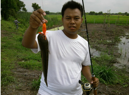 กระสง+ปลาช่อนริมทาง