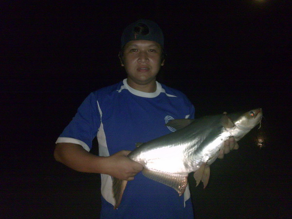 คืน 23 Sep 2010